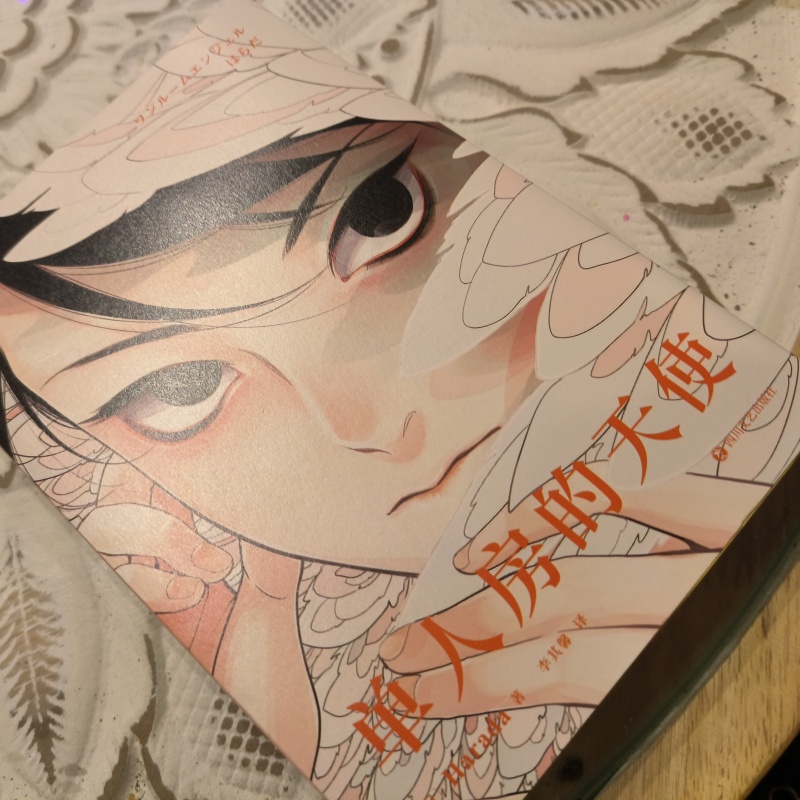 Japanese Lifestyle Books - 日本のシングルルームエンジェル原作コミックブック（原田著） 男性と天使の青春ロマンスBL漫画 中国漫画
