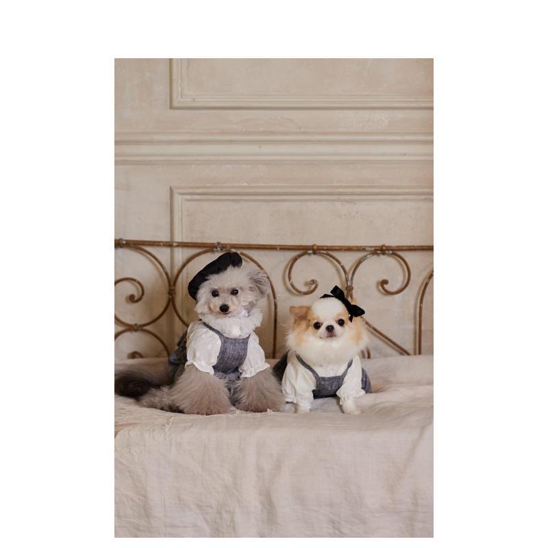 小型犬向けのかわいい服装：日本のライフスタイルをテーマにした - Japanese Lifestyle Books のレビューと価格